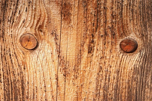wood texture