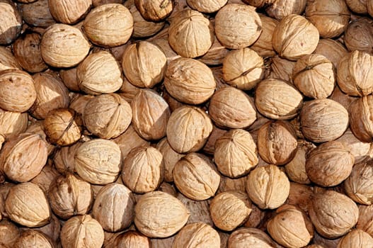 walnuts