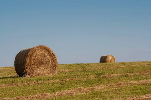 haymaking time