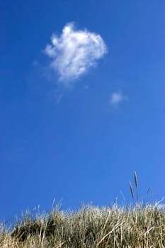 Cloud and dune