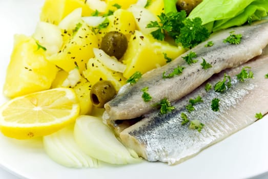 Matjes Fillet