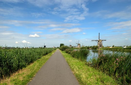 Cycle path through Kinderdijk