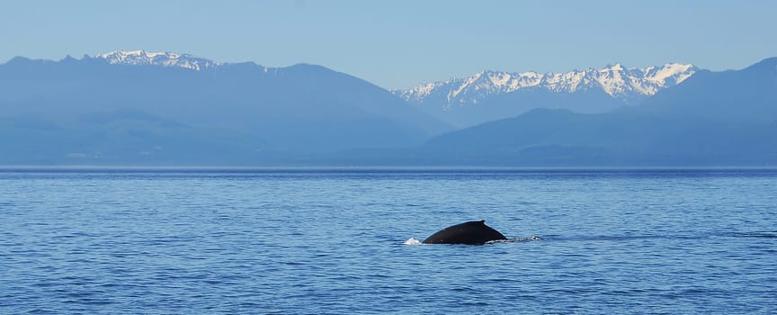 In the open sea