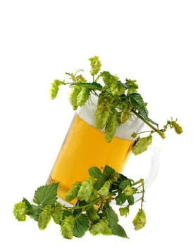 Beer with hops