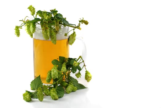 Beer with hops