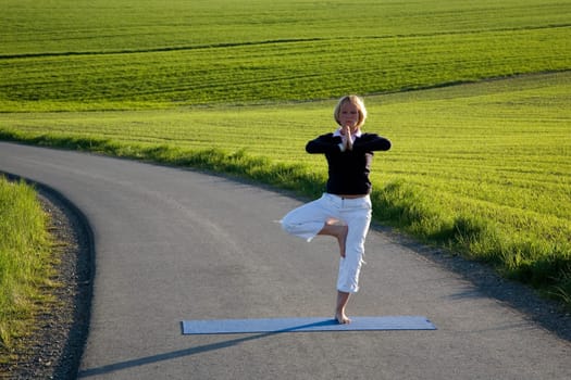 Woman doing yoga exercise - the tree