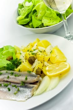 Matjes fillet - herring - with salad,wine