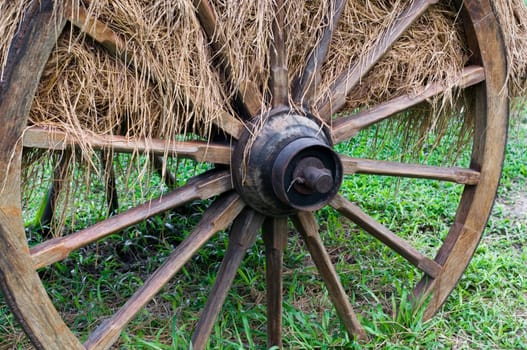 Old wagon wheel