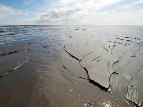Wadden Sea