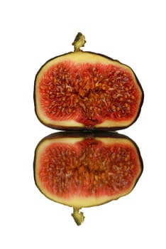 Fig,ficus carica