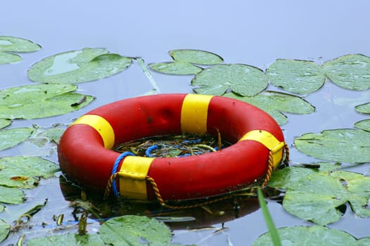 Life preserver