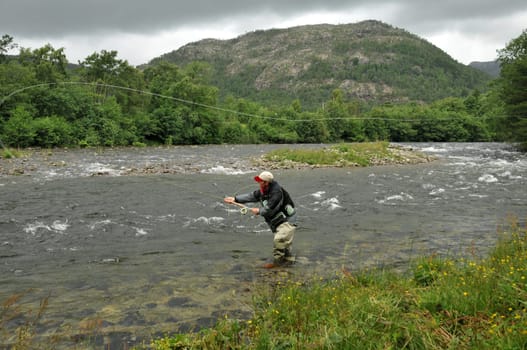 Some salmon trout took a bite!
