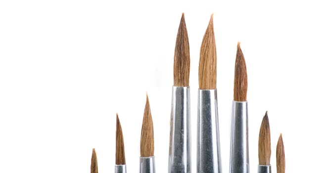 Painting brush tips