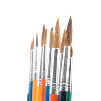 May Brush