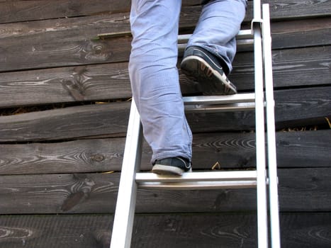 Ladder