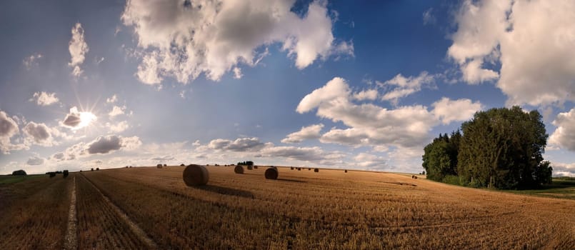 field,blue,harvest,harvest,agriculture,august,bale,harvest time,farm,field,fields,feed,harvested,yellow,hay,hay bale,hay harvest,sky,july,country life,agriculture,roll,summer,litter,straw,straw bale,dry,dry,livestock feed