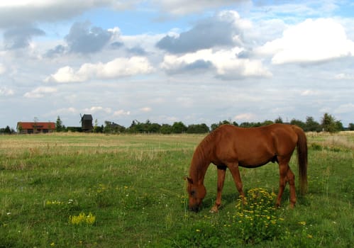 Countryside