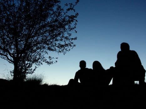 Summer night