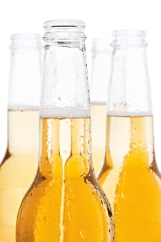 beer bottles isolated