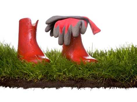 gardening