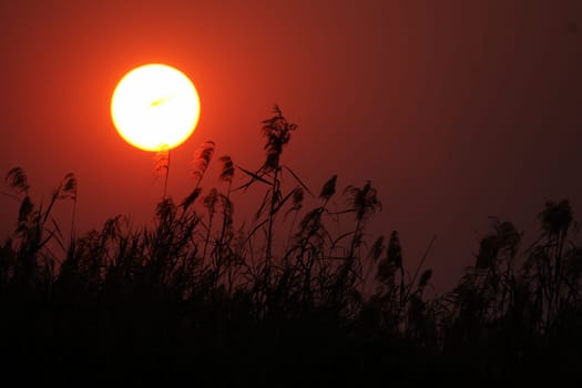 Sunset over the Okavango River,Botswana