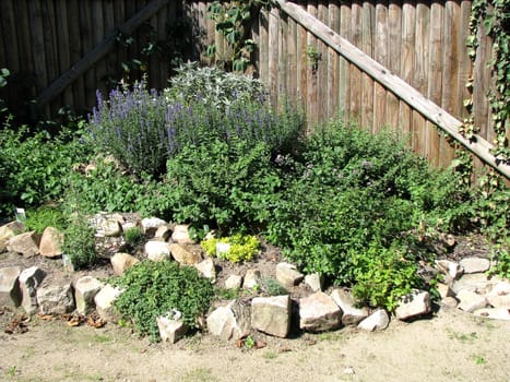 Herb garden