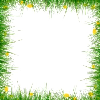 Grass