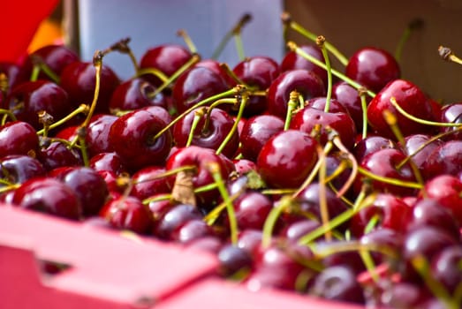 Cherries on the market