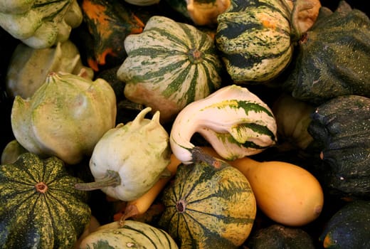 Heralds of Autumn