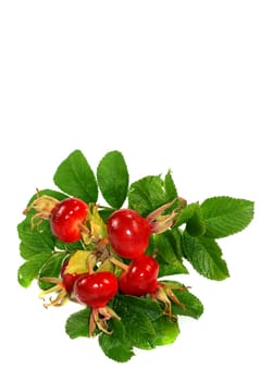 Haws