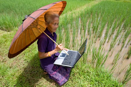 Old Asian woman with laptop