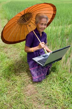 Old Asian woman with laptop