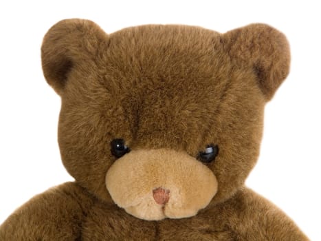 Teddy Bear Snout