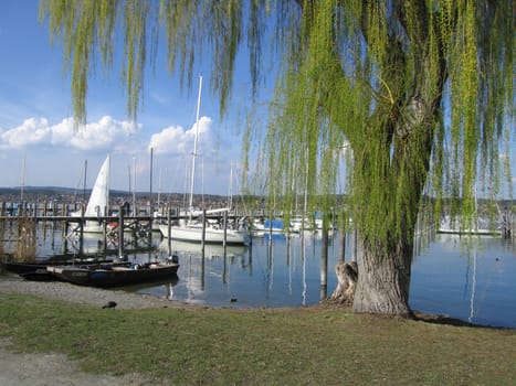 Banks of the Reichenau