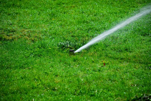 lawn sprinkler