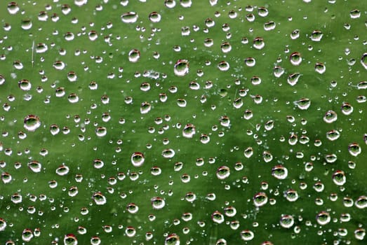 Raindrop