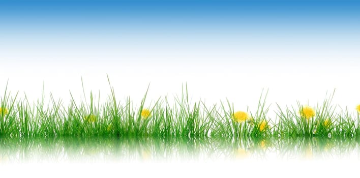 Grass