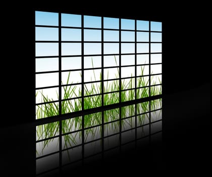 Gras on tv screens