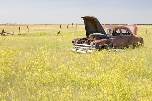 abandoned car in field