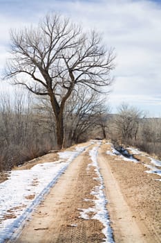 winter rural road