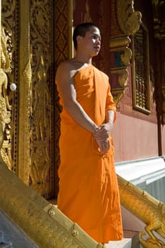 Buddhist monk,Luang Prabang