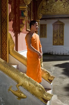Buddhist monk