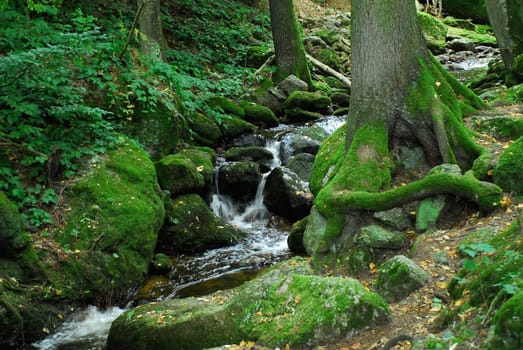 Ysper Gorge