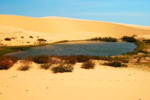 Desert lake near Mui Ne,Vietnam