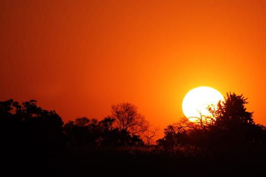 Sunset in the Okavango Delta,Botswana