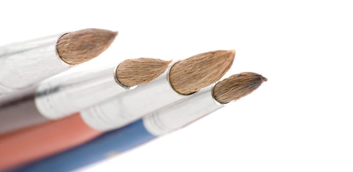 Painting brush tips - close-up