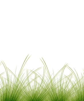 Grass