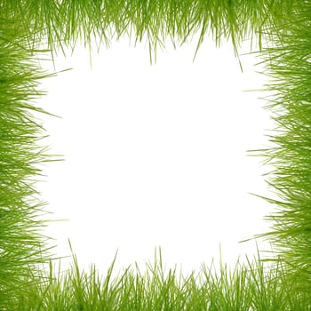 Grass