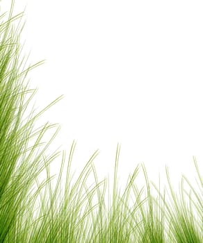 Grass