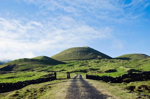 Pasture fields in Pico island, Azores